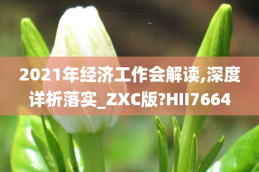 2021年经济工作会解读,深度详析落实_ZXC版?HII7664