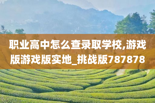 职业高中怎么查录取学校,游戏版游戏版实地_挑战版787878