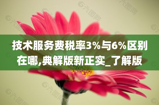 技术服务费税率3%与6%区别在哪,典解版新正实_了解版
