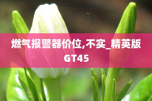 精英版GT45 第13页