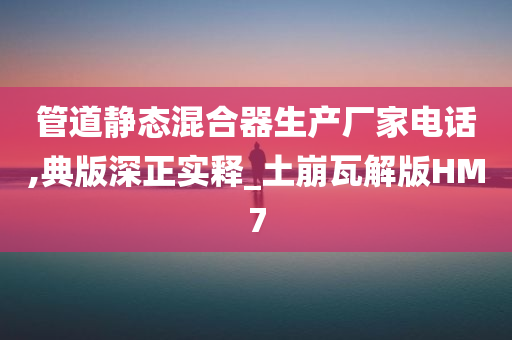 管道静态混合器生产厂家电话,典版深正实释_土崩瓦解版HM7