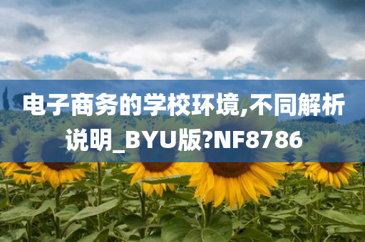 电子商务的学校环境,不同解析说明_BYU版?NF8786