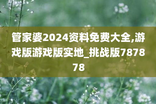 管家婆2024资料免费大全,游戏版游戏版实地_挑战版787878