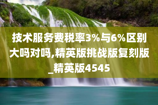 技术服务费税率3%与6%区别大吗对吗,精英版挑战版复刻版_精英版4545