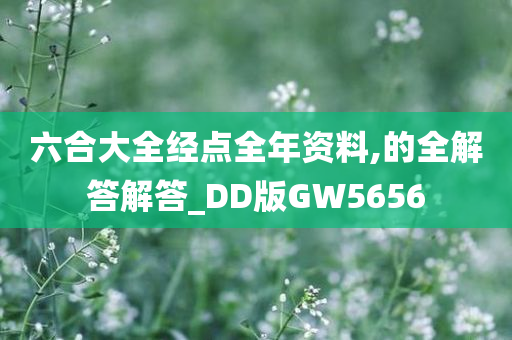 六合大全经点全年资料,的全解答解答_DD版GW5656