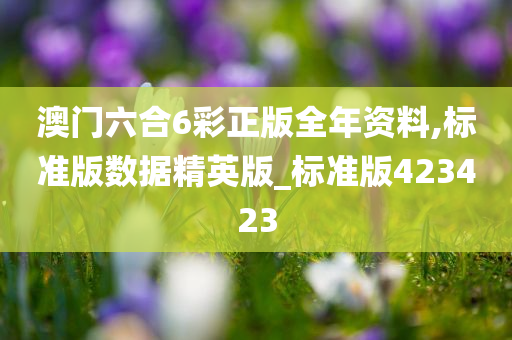 澳门六合6彩正版全年资料,标准版数据精英版_标准版423423