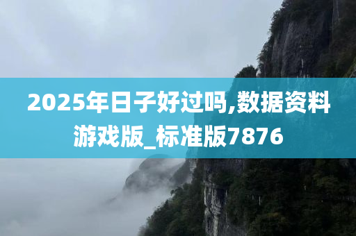 2025年日子好过吗,数据资料游戏版_标准版7876