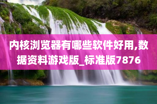 内核浏览器有哪些软件好用,数据资料游戏版_标准版7876
