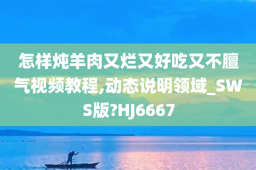 怎样炖羊肉又烂又好吃又不膻气视频教程,动态说明领域_SWS版?HJ6667