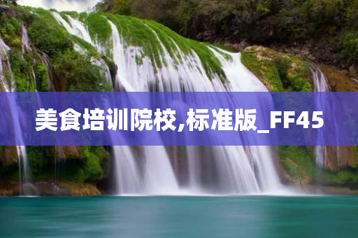 美食培训院校,标准版_FF45