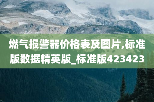 燃气报警器价格表及图片,标准版数据精英版_标准版423423