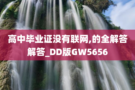 高中毕业证没有联网,的全解答解答_DD版GW5656