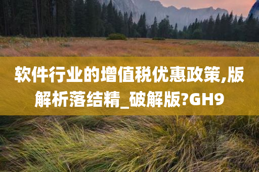 软件行业的增值税优惠政策,版解析落结精_破解版?GH9
