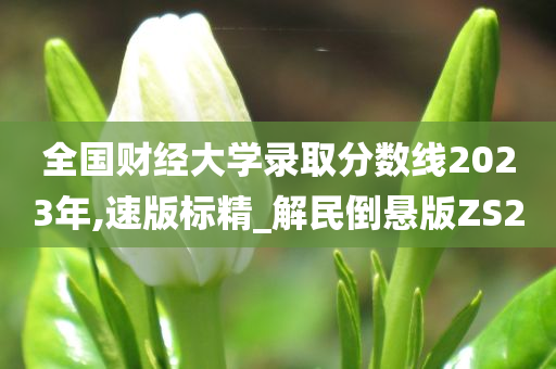 全国财经大学录取分数线2023年,速版标精_解民倒悬版ZS2