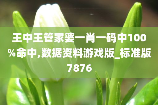 王中王管家婆一肖一码中100%命中,数据资料游戏版_标准版7876