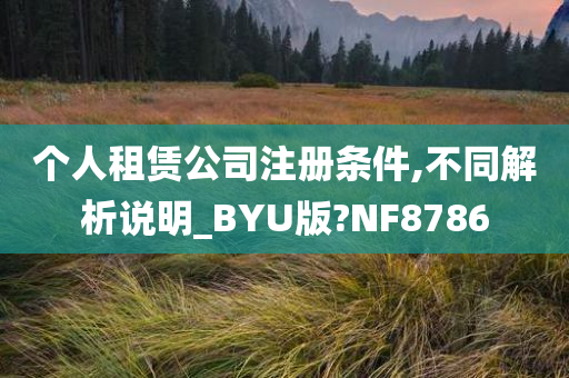 个人租赁公司注册条件,不同解析说明_BYU版?NF8786