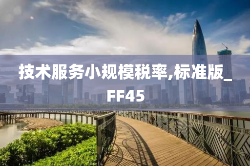 技术服务小规模税率,标准版_FF45