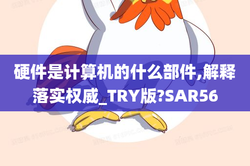 硬件是计算机的什么部件,解释落实权威_TRY版?SAR56