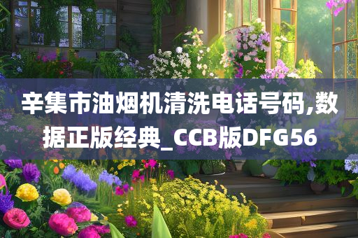 辛集市油烟机清洗电话号码,数据正版经典_CCB版DFG56