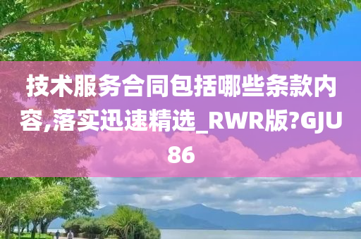 技术服务合同包括哪些条款内容,落实迅速精选_RWR版?GJU86