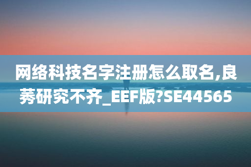网络科技名字注册怎么取名,良莠研究不齐_EEF版?SE44565