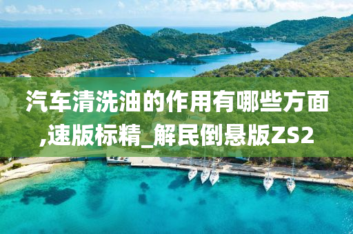 汽车清洗油的作用有哪些方面,速版标精_解民倒悬版ZS2