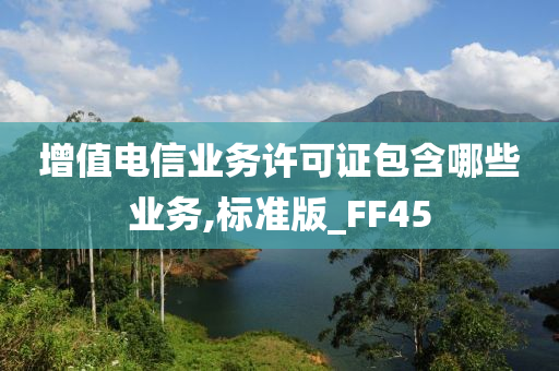 增值电信业务许可证包含哪些业务,标准版_FF45
