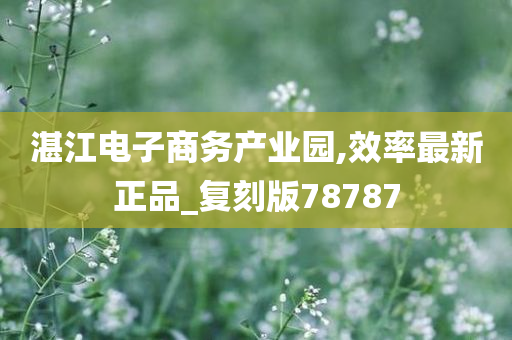 湛江电子商务产业园,效率最新正品_复刻版78787