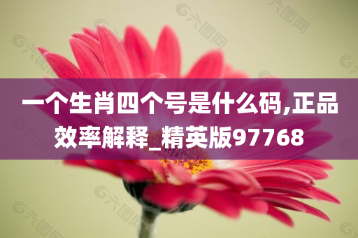 一个生肖四个号是什么码,正品效率解释_精英版97768