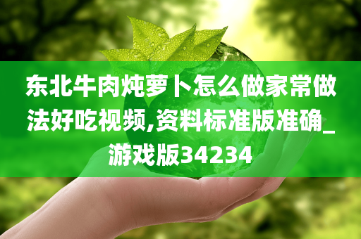 东北牛肉炖萝卜怎么做家常做法好吃视频,资料标准版准确_游戏版34234
