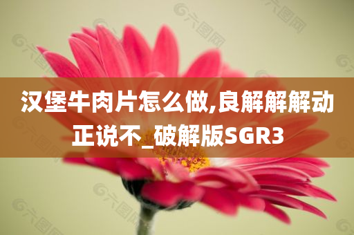 汉堡牛肉片怎么做,良解解解动正说不_破解版SGR3