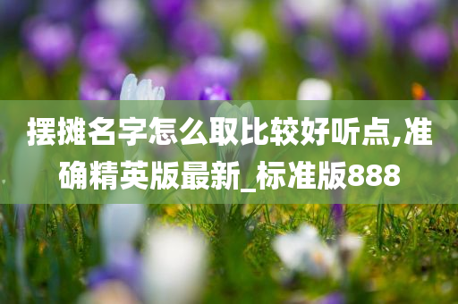 摆摊名字怎么取比较好听点,准确精英版最新_标准版888