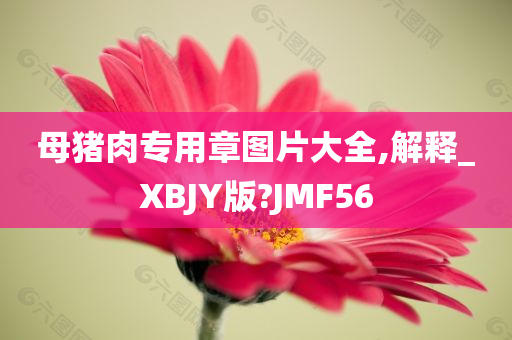 母猪肉专用章图片大全,解释_XBJY版?JMF56