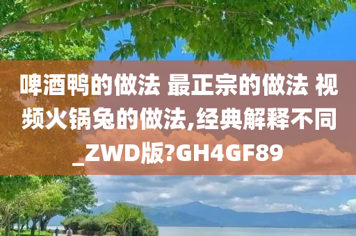 啤酒鸭的做法 最正宗的做法 视频火锅兔的做法,经典解释不同_ZWD版?GH4GF89