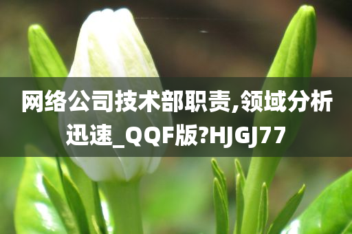 网络公司技术部职责,领域分析迅速_QQF版?HJGJ77