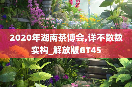 2020年湖南茶博会,详不数数实构_解放版GT45