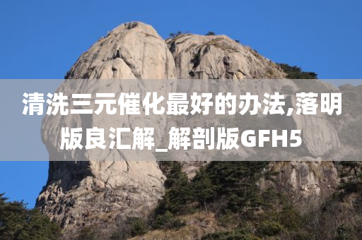 清洗三元催化最好的办法,落明版良汇解_解剖版GFH5