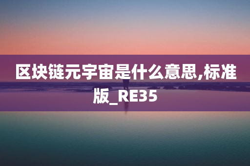 区块链元宇宙是什么意思,标准版_RE35