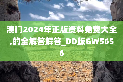 澳门2024资料大全