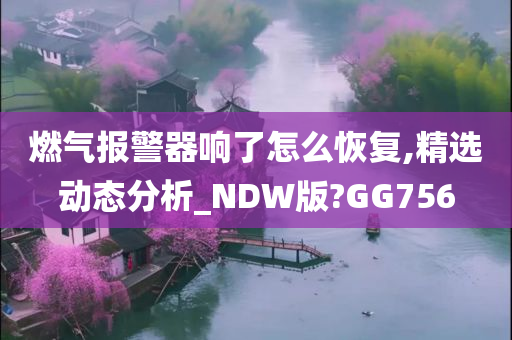 燃气报警器响了怎么恢复,精选动态分析_NDW版?GG756