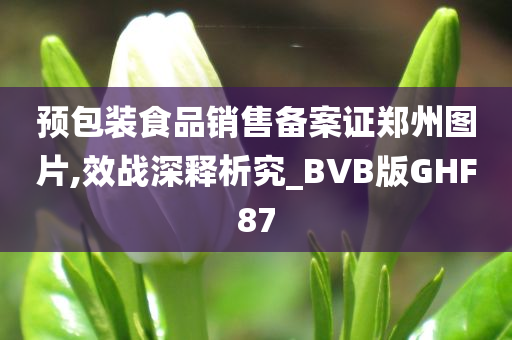 预包装食品销售备案证郑州图片,效战深释析究_BVB版GHF87