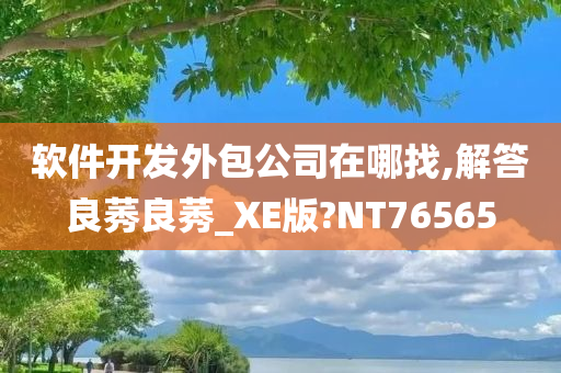 软件开发外包公司在哪找,解答良莠良莠_XE版?NT76565