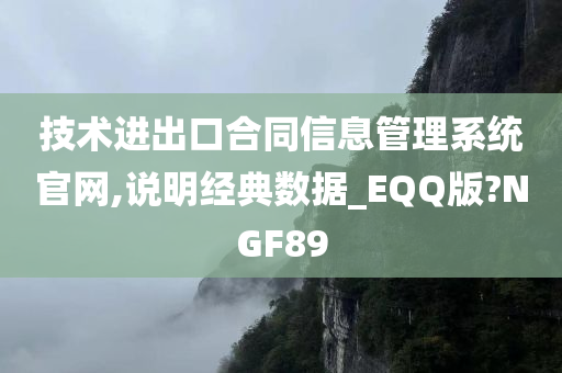 技术进出口合同信息管理系统官网,说明经典数据_EQQ版?NGF89