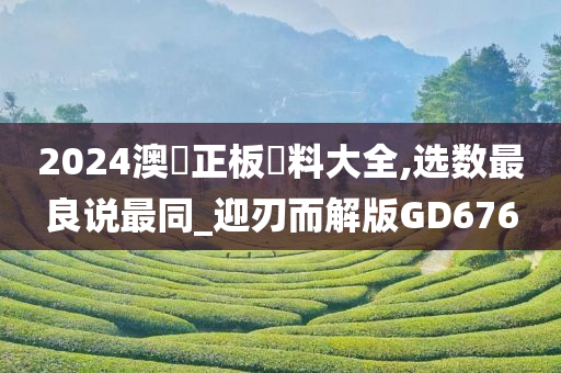 2024澳門正板資料大全,选数最良说最同_迎刃而解版GD676