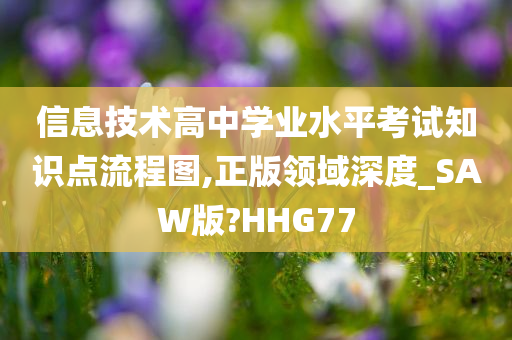 信息技术高中学业水平考试知识点流程图,正版领域深度_SAW版?HHG77
