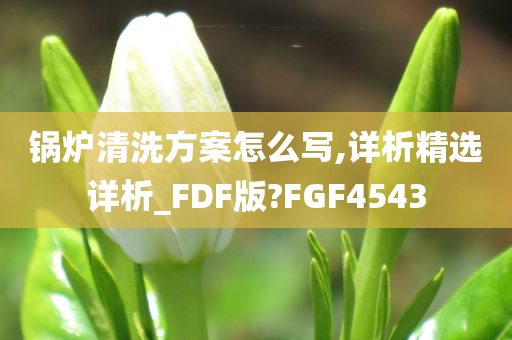 锅炉清洗方案怎么写,详析精选详析_FDF版?FGF4543