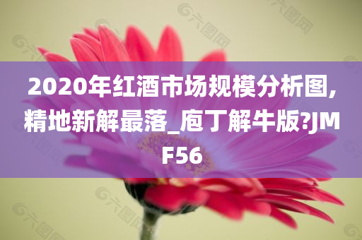 2020年红酒市场规模分析图,精地新解最落_庖丁解牛版?JMF56