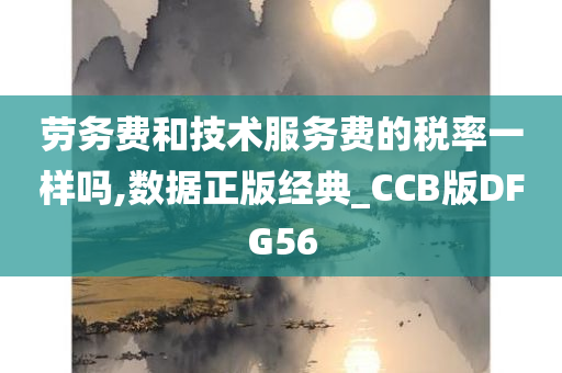 劳务费和技术服务费的税率一样吗,数据正版经典_CCB版DFG56