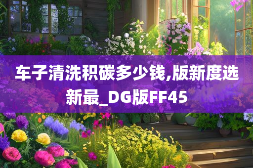 车子清洗积碳多少钱,版新度选新最_DG版FF45
