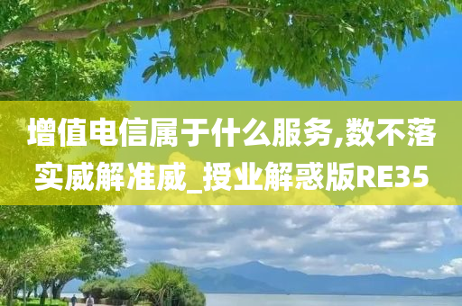 增值电信属于什么服务,数不落实威解准威_授业解惑版RE35